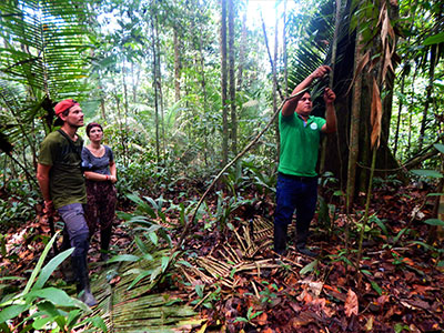 La Selva y el Caucho