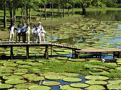 La Victoria Regia
