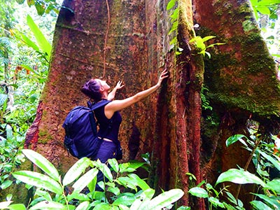Reserva Marasha, Perú