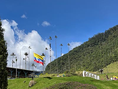 Salento, Valle del Cocora y Termales