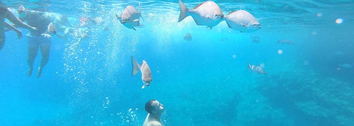 San Andres, Una Aventura en el Mar de los Siete Colores