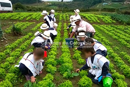 Students in an activity of agrotourism