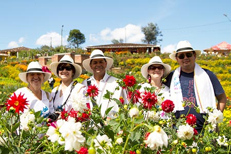 Feria de las Flores Medellin