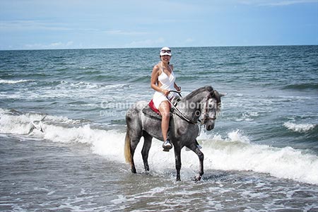 Cartagena Turismo, Escapada Caribe Natural 3 Días