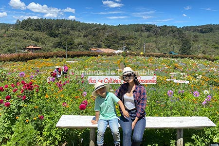Tour de Flores y Silleteros