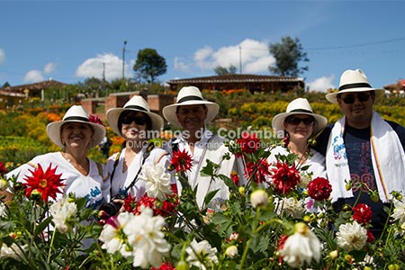 Flowers and Silleteros Tour