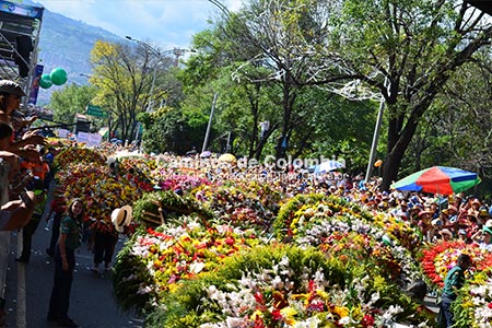 Feria de Flores Medellin 5 Días