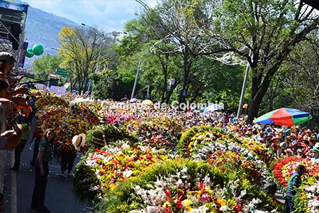 Feria de Flores Medellin 3 Días