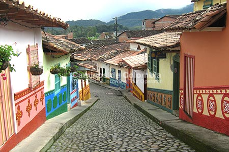 Feria de Flores Medellin 5 Días