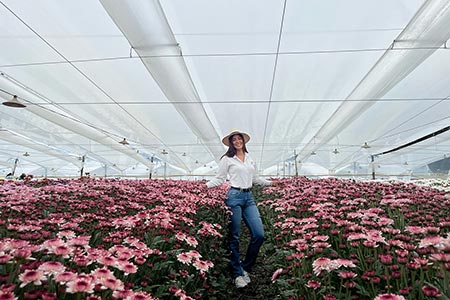 Tour Flores San Nicolás