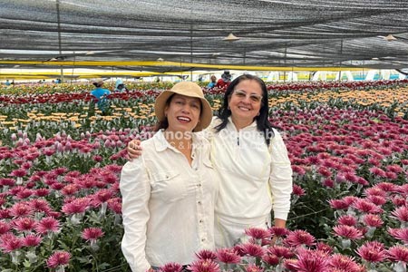 Tour de Flores en Medellin