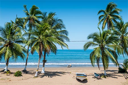 Tour Ballenas a la Vista, Pacífico Colombia 4 Días