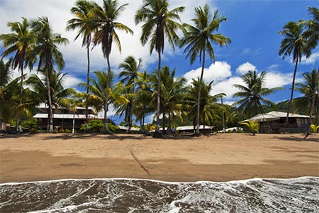 Tour Ballenas a la Vista, Pacífico Colombia 4 Días