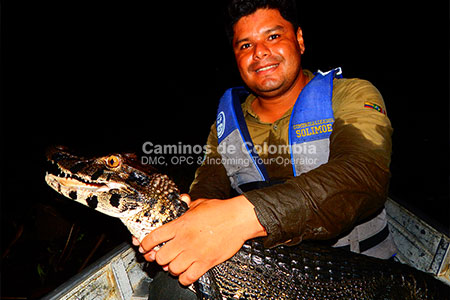 Safari Nocturno Amazonas, Amazonas Tres Fronteras 8 Días