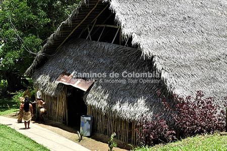 Ticuna Amazonas, Amazonas Tres Fronteras 8 Días