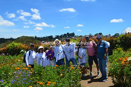 Tour de Flores y Silleteros