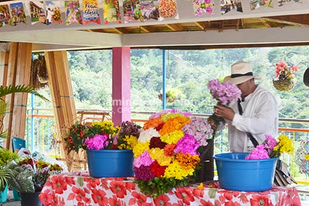 Tour de Flores y Silleteros
