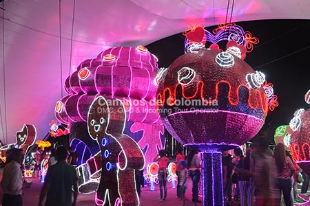 Tour de Luces y Alumbrados Medellin