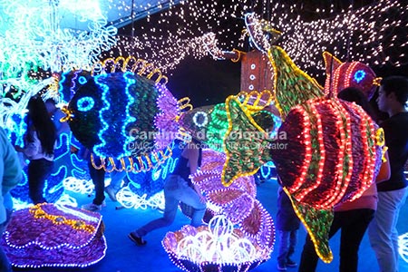 Tour de Luces y Alumbrados Medellin