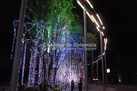 Christmas Lights Medellin