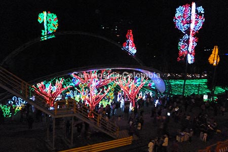 Christmas Lights Medellin