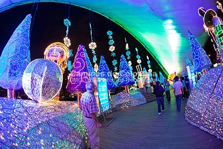 Tour de Luces y Alumbrados Medellin