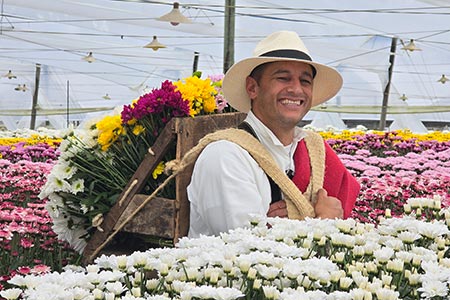 Tour de Flores San Nicolas 2026