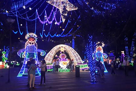 Tour Luces Alumbrados Medellin